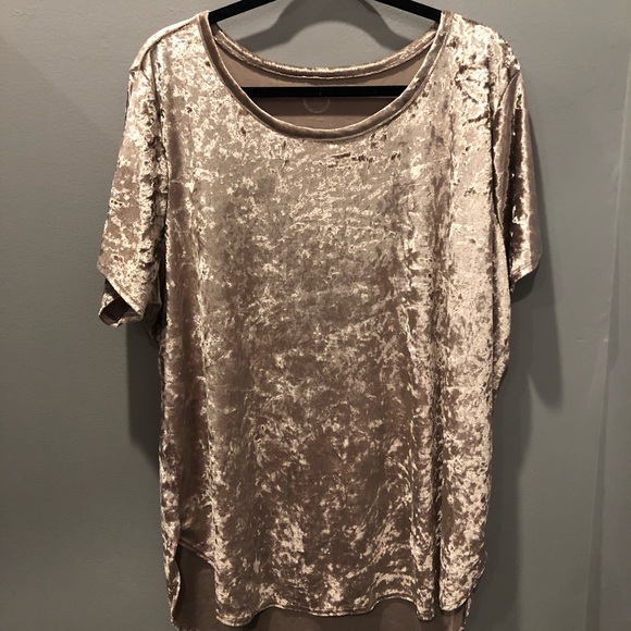Maurices Tops - Maurices short sleeve velvet top/shirt plus 2x